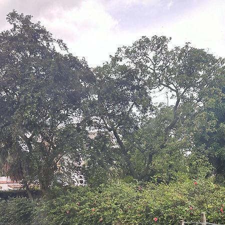 Monblanc Apartamento Completo 圣萨尔瓦多 外观 照片