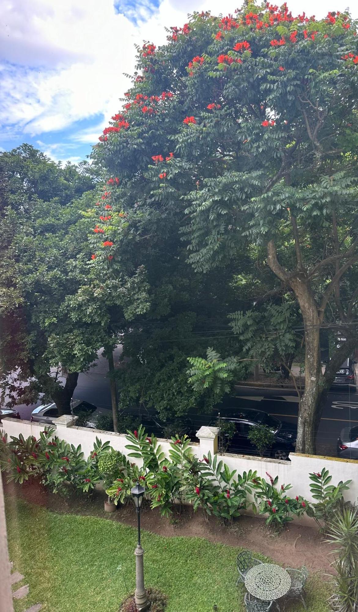 Monblanc Apartamento Completo 圣萨尔瓦多 外观 照片